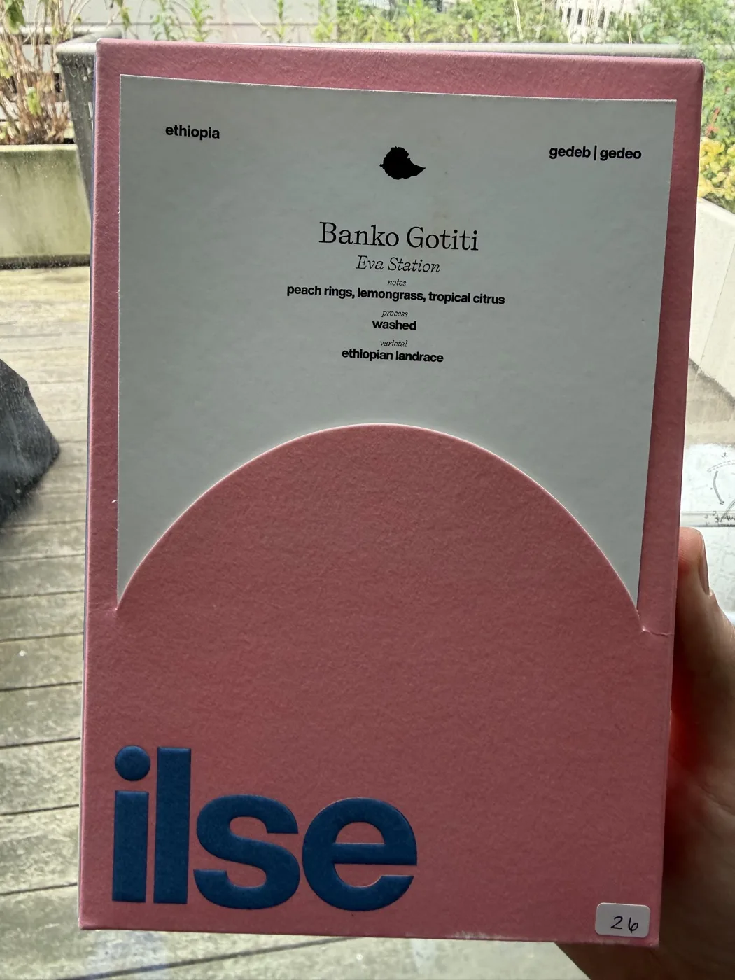 Banko Gotiti from Ilse Coffee