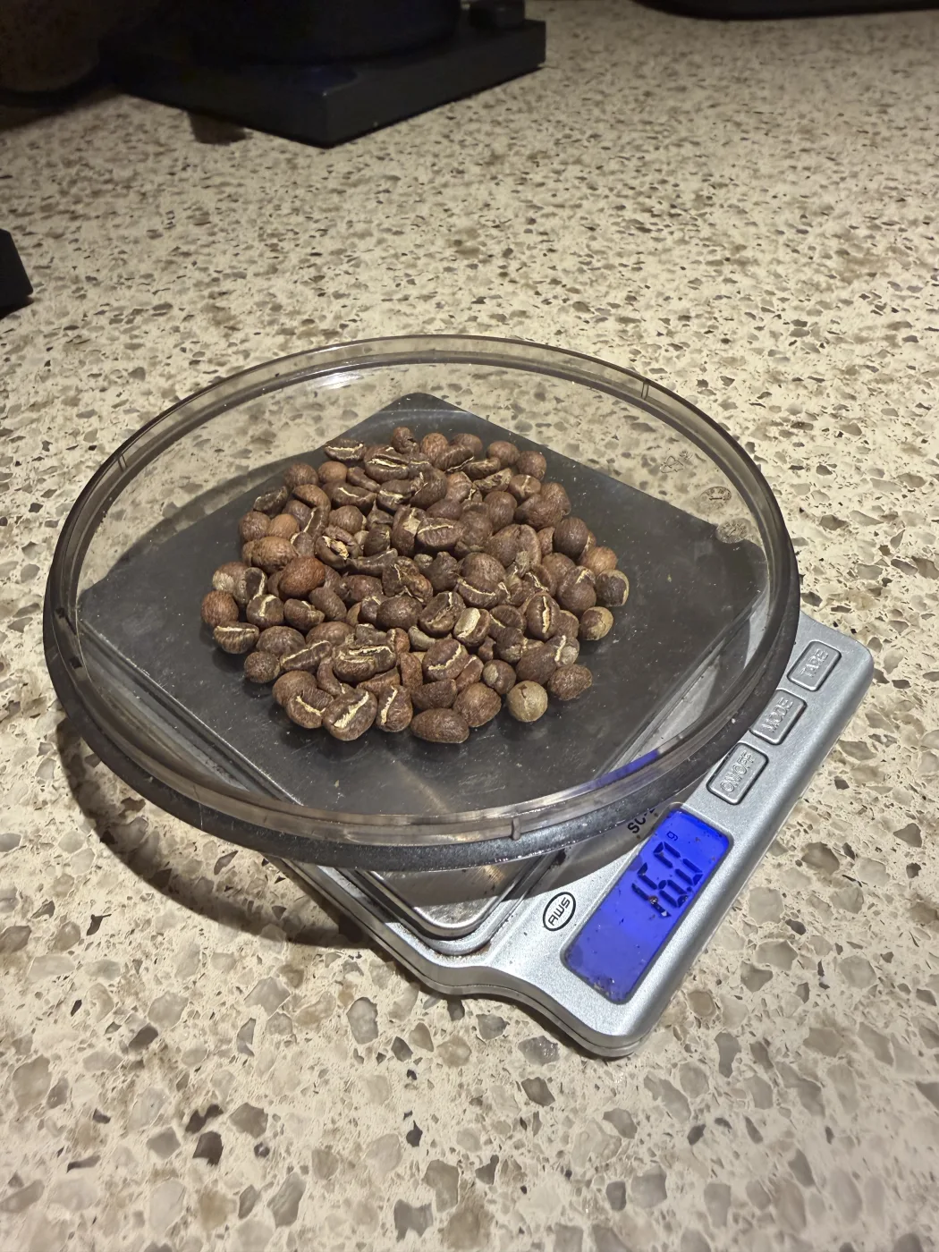 16.0 grams of extremely light roasted whole beans on a scale, pale tan with visible silverskin in the center cut.
