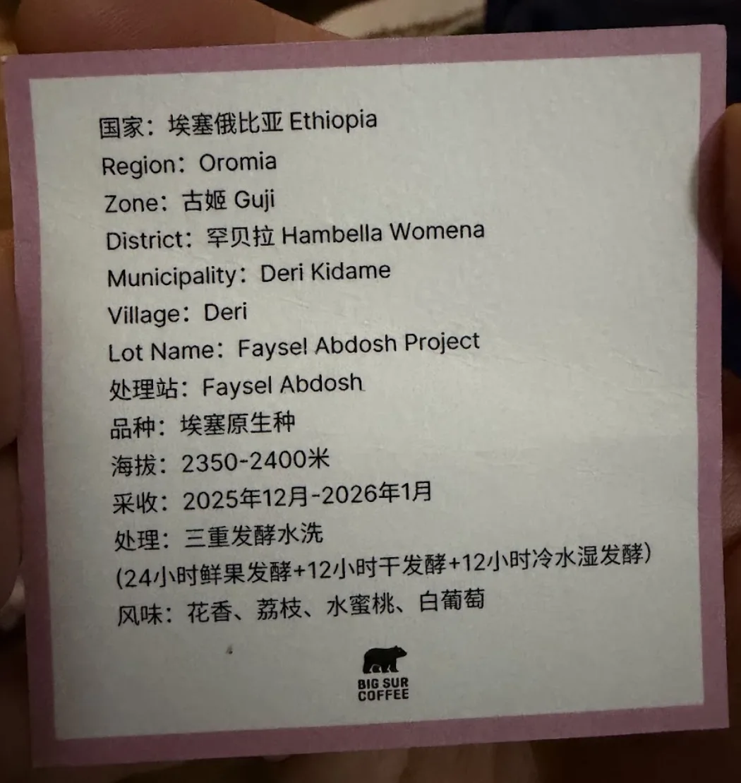 A small pink-bordered card held in a hand, printed in Chinese and English. It reads: Country 埃塞俄比亚 Ethiopia, Region Oromia, Zone 古姬 Guji, District 罕贝拉 Hambella Womena, Municipality Deri Kidame, Village Deri, Lot Name Faysel Abdosh Project, washing station Faysel Abdosh, variety 埃塞原生种 (Ethiopian heirloom), elevation 2350-2400 meters, harvest December 2025 to January 2026, process 三重发酵水洗, triple fermentation washed, broken out as 24 hours whole cherry fermentation plus 12 hours dry fermentation plus 12 hours cold water wet fermentation, and flavors 花香 荔枝 水蜜桃 白葡萄, floral, lychee, honey peach, white grape. The Big Sur Coffee bear logo sits at the bottom.