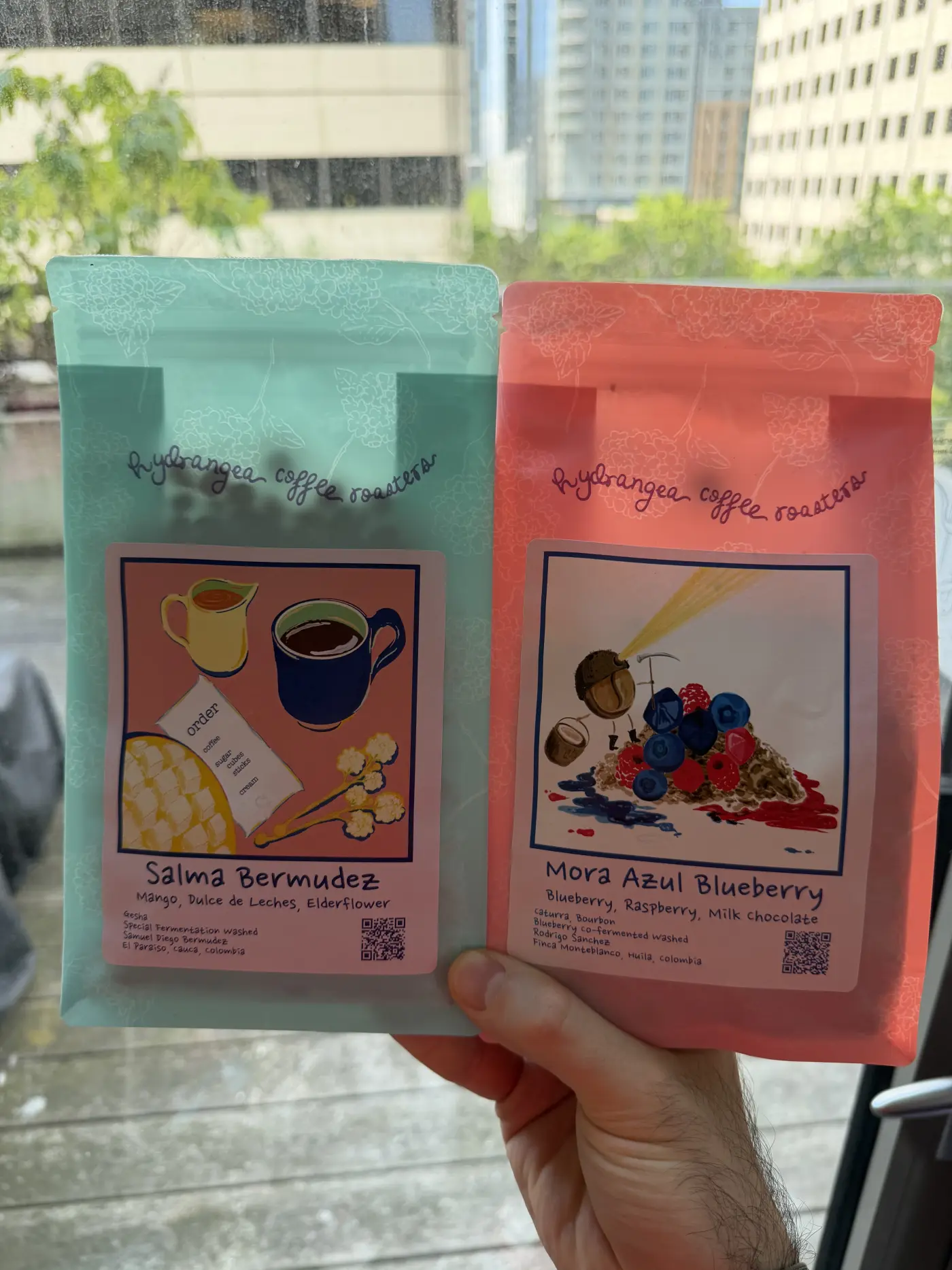 Two Hydrangea Coffee Roasters bags held up against a window: the teal Salma Bermudez bag and the pink Mora Azul Blueberry bag, each with hand-drawn label art.