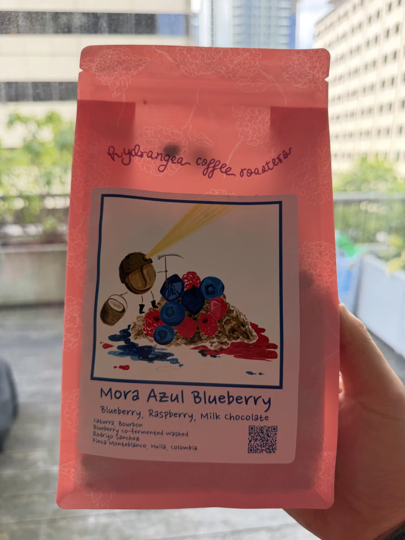 Mora Azul Blueberry from Hydrangea Coffee Roasters