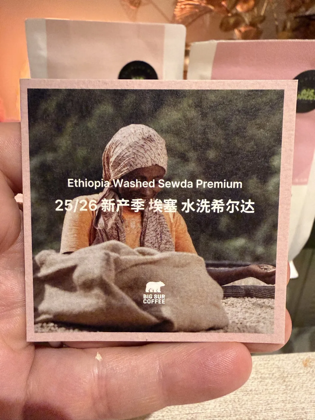 The front of the Big Sur Coffee card held in hand: a photo of a worker in a patterned headscarf sorting coffee on a drying bed, printed with "Ethiopia Washed Sewda Premium" in English and "25/26 新产季 埃塞 水洗希尔达" in Chinese, and the Big Sur bear logo. Two Big Sur bags stand out of focus behind it.