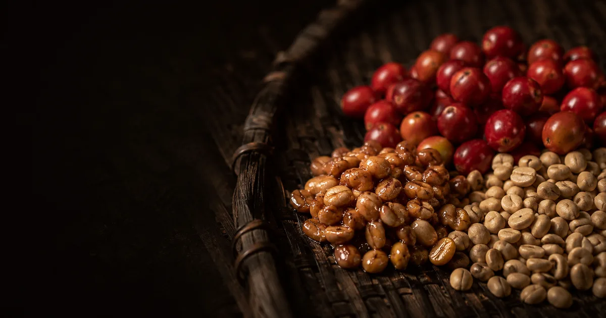 Coffee Processing Methods Explained: Washed, Natural, Honey & Co-Ferment