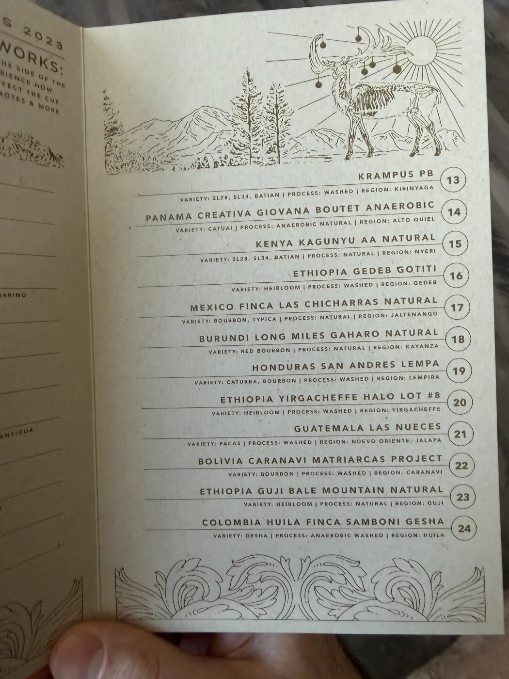 The facing page of the same card, listing coffees 13 through 24 beside a line drawing of a skeletal stag under a sun. Door 24 reads COLOMBIA HUILA FINCA SAMBONI GESHA, variety Gesha, process anaerobic washed, region Huila.